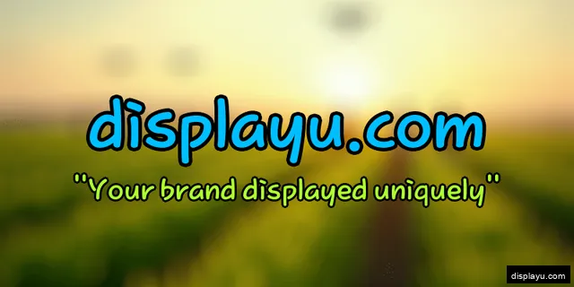 displayu.com logo